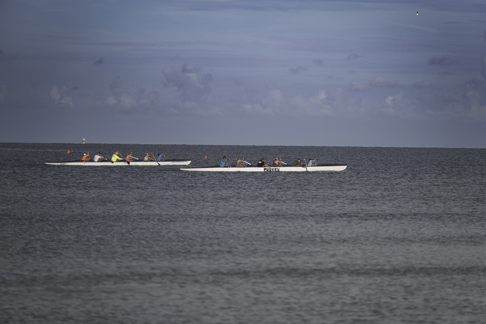 Two Racing Shells on Open Water, Tampa, Florida — fine art print