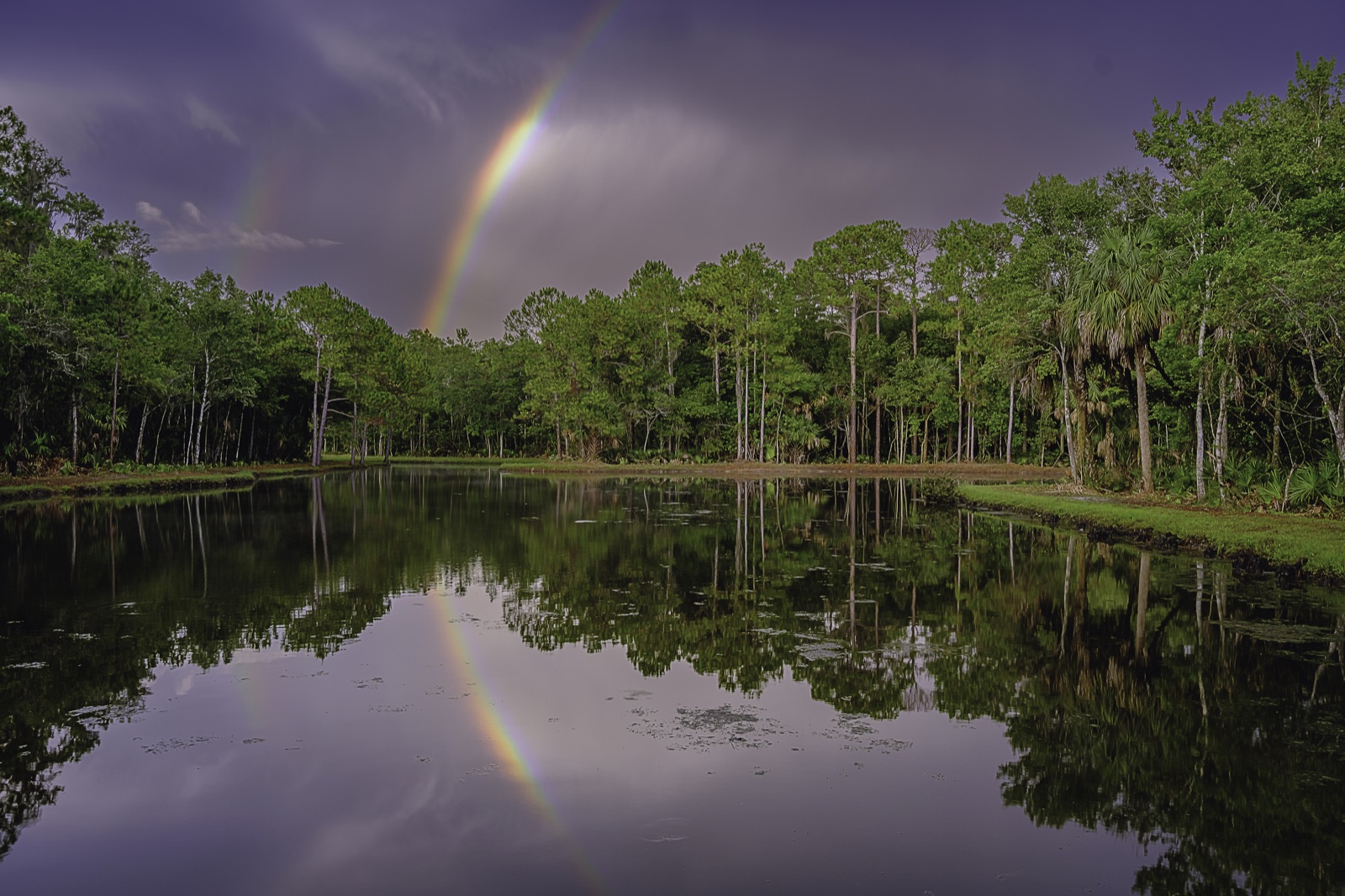 Rainbow over a Still Pine Pond, Tampa, Florida — fine art print